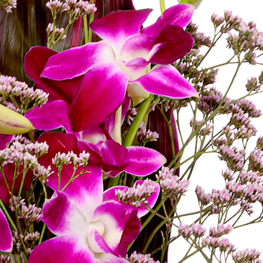 Asiatische Orchideen mit Vase