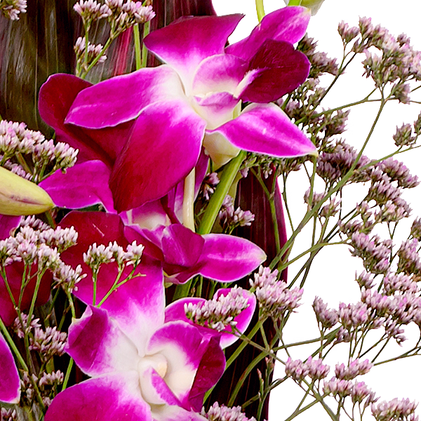 Asiatic Orchids with vase