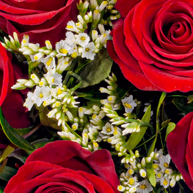 Rosenstrauß Romeo