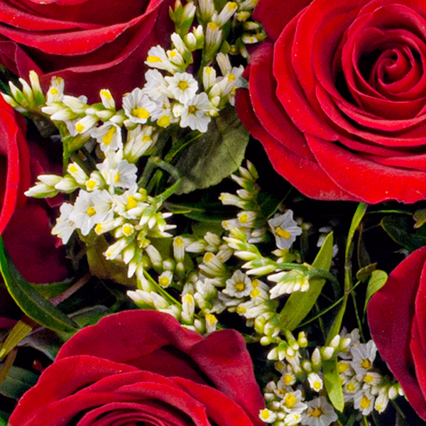 Rosenstrauß Romeo