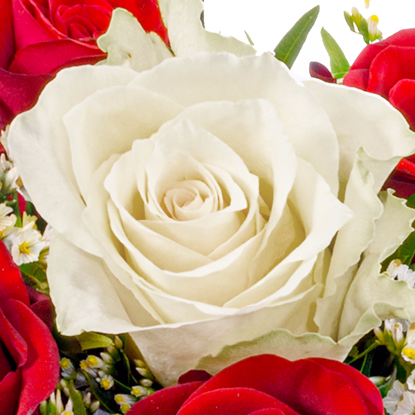 Rose Bouquet Romeo