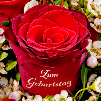 Rose Bouquet „Zum Geburtstag“