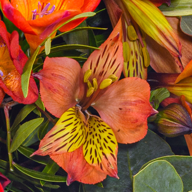 Blumenstrauß Blumensymphonie