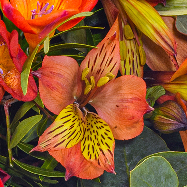 Flower Bouquet Blumensymphonie