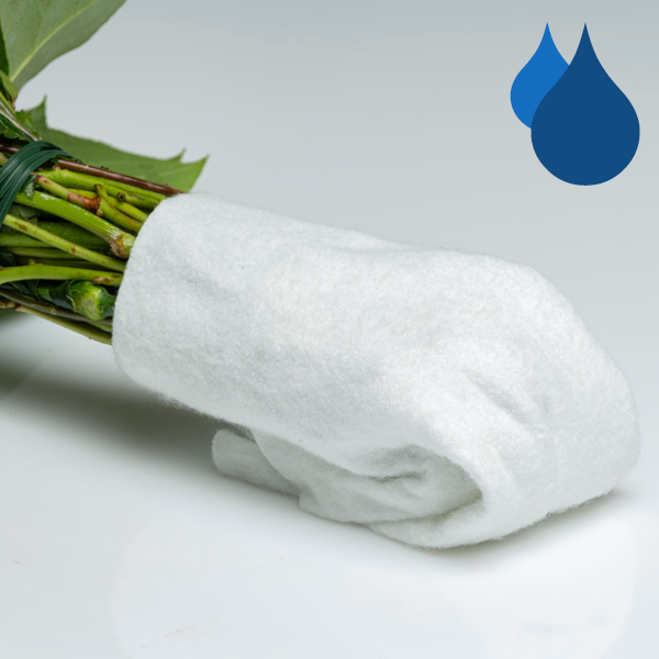 10 Papageientulpen mit Weidenkätzchen