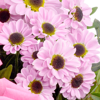 Flower Bouquet Freude