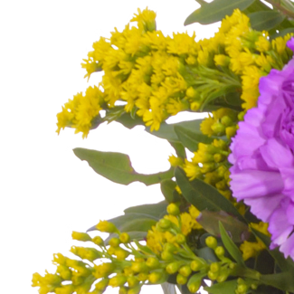 Blumenstrauß Frühlingsbeginn