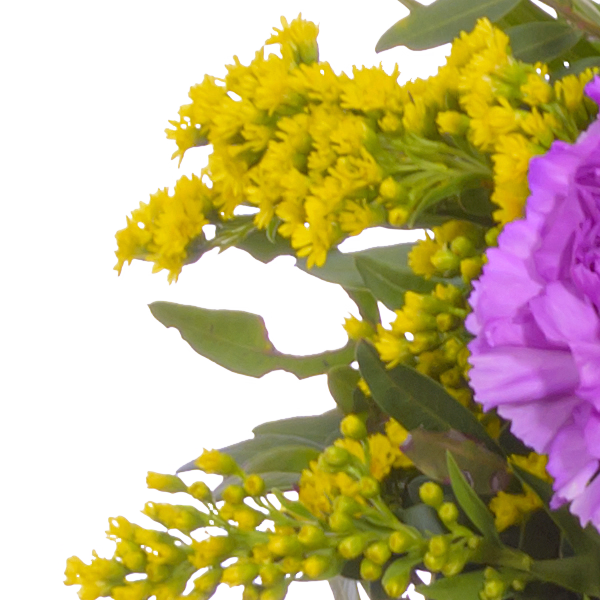 Blumenstrauß Frühlingsbeginn