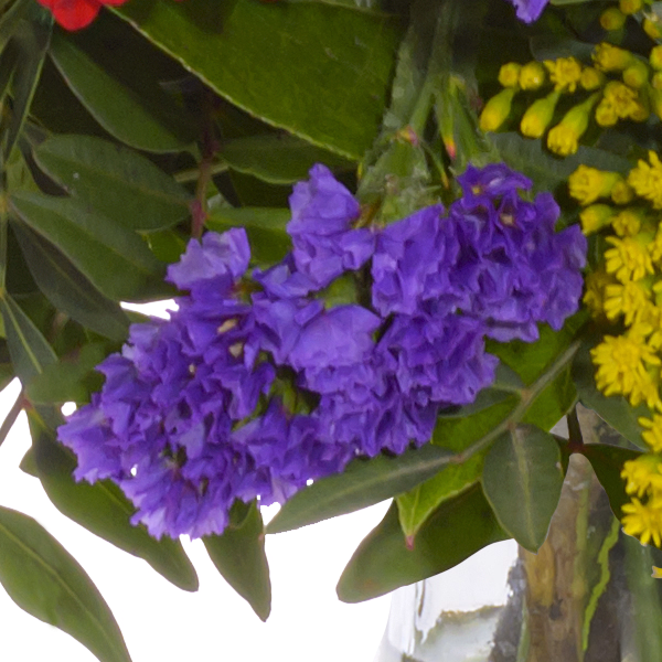 Blumenstrauß Frühlingsbeginn