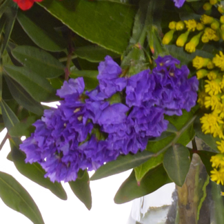 Blumenstrauß Frühlingsbeginn