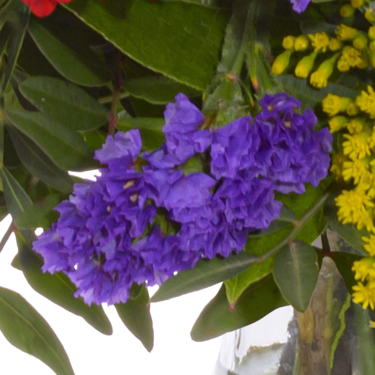 Blumenstrauß Frühlingsbeginn