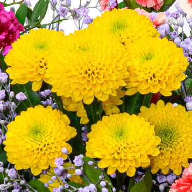 Flower Bouquet Blütenfreude