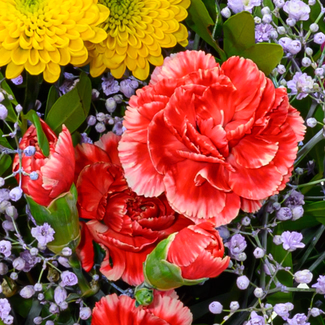 Blumenstrauß Blütenfreude
