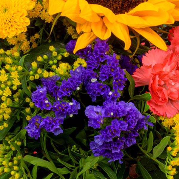 Blumenstrauß Sonnengrüße