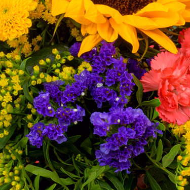 Blumenstrauß Sonnengrüße