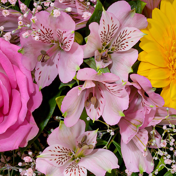 Blumenstrauß Farbentanz