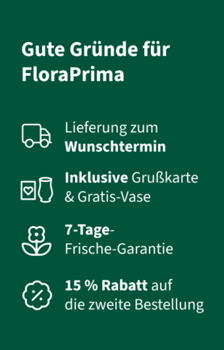 USP Einfach so